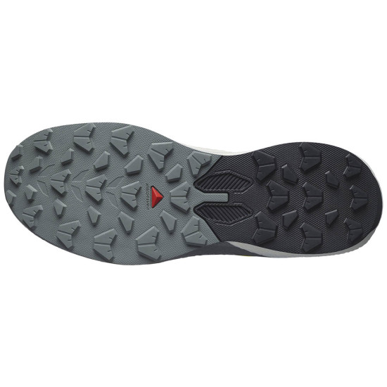 Salomon Pulsar